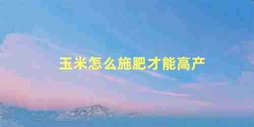 玉米怎么施肥才能高产 玉米施肥时间和方法呢(玉米如何施肥才能高产?玉米高产施肥技术要点)